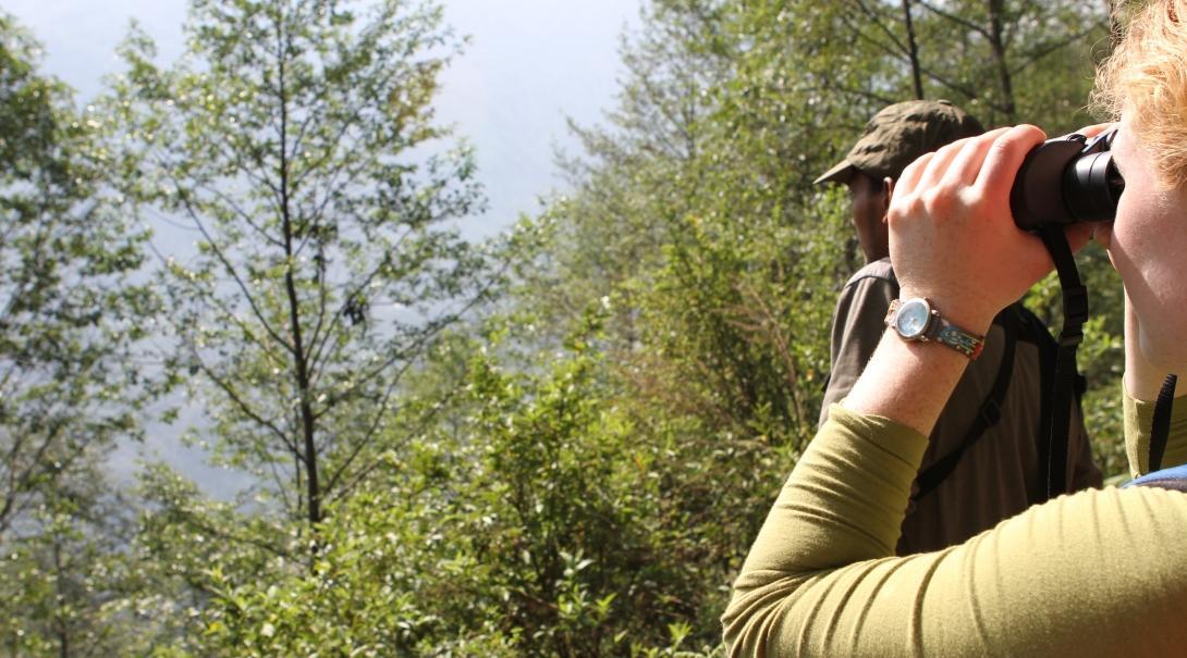 A female Projects Abroad volunteer participating in a research study during her conservation volunteer work in the Himalayas in Nepal. A female Projects Abroad volunteer is pictured participating in a research study as part of her conservation volunteer work in the Himalayas in Nepal.